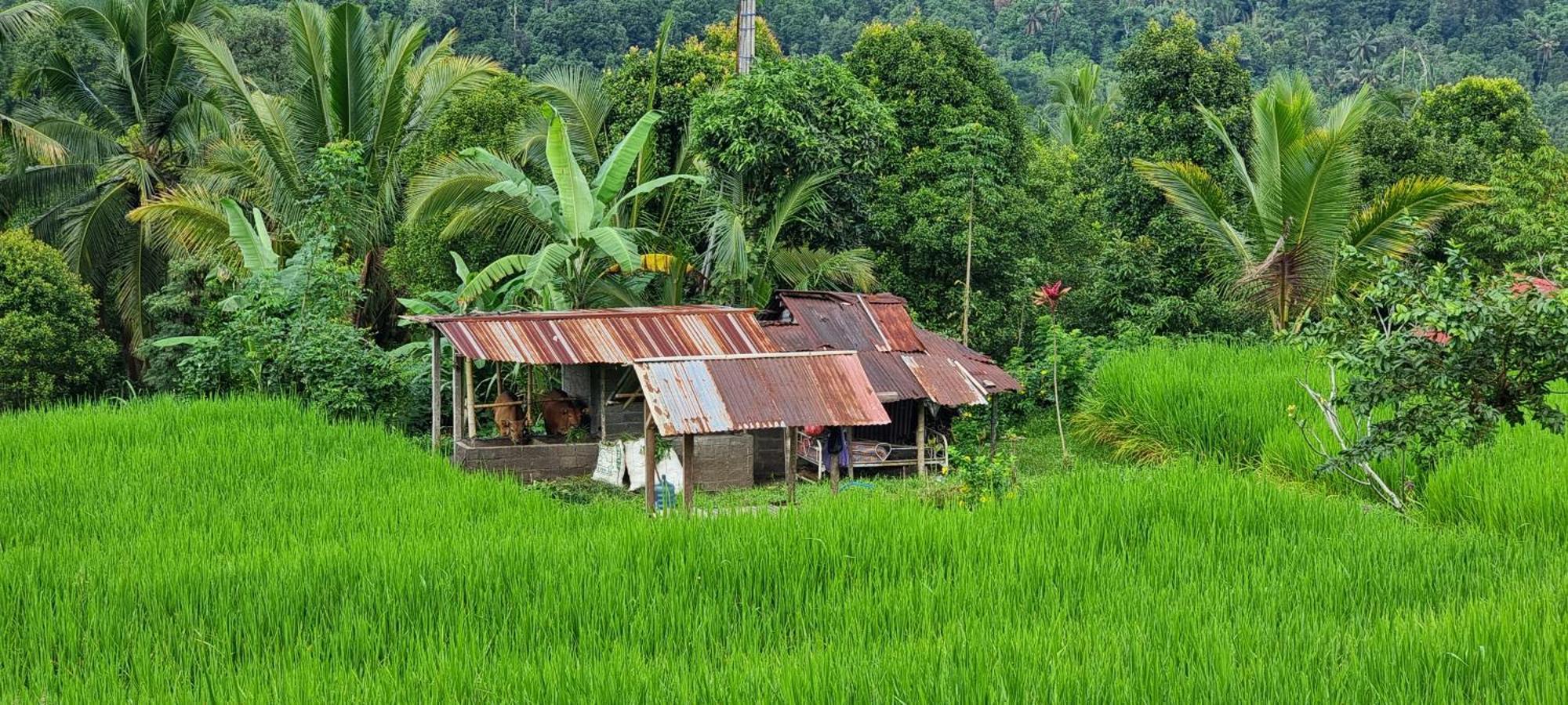 Вілла Utopiaku - Munduk Highlands Екстер'єр фото